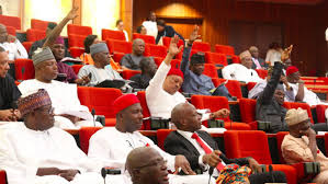 Nigerian Senators Salary and Allowances